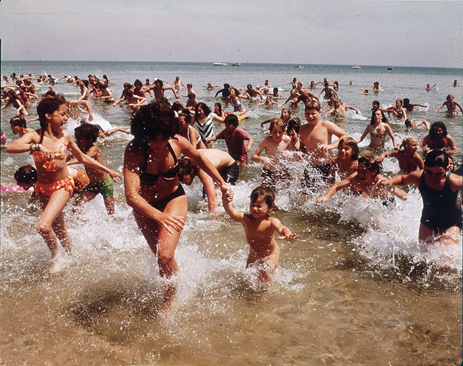 Conceptual Horror, All of the <i>Jaws</i> Films and More, Now Available to Stream